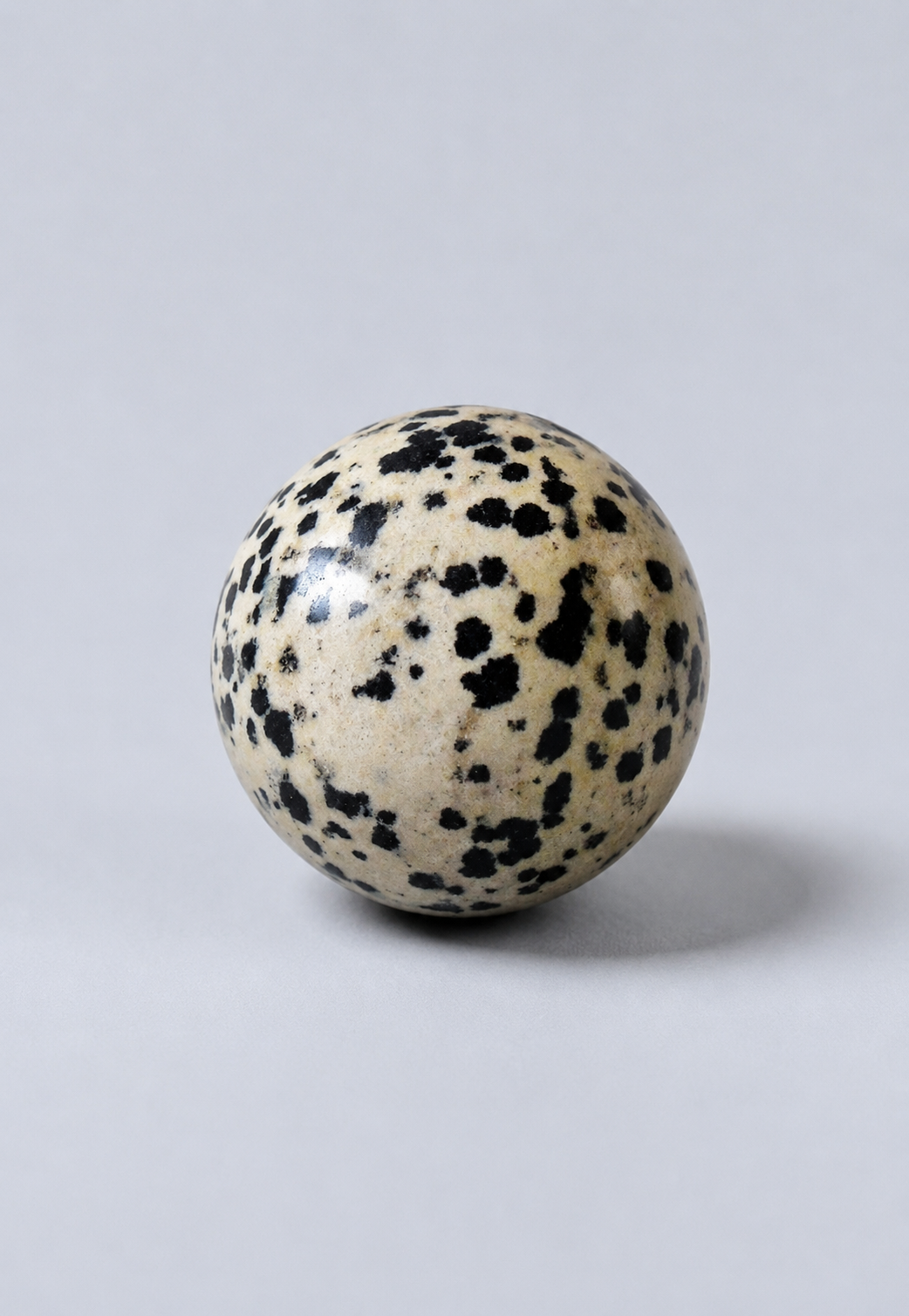 Jaspe dalmatien